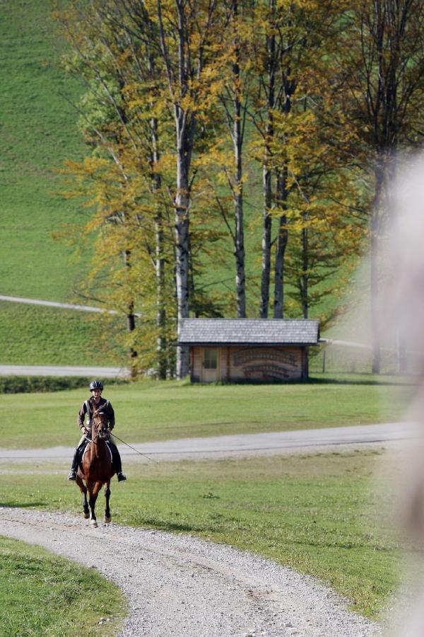 Gasthof Jagersberger Hollenstein an der Ybbs Exteriör bild